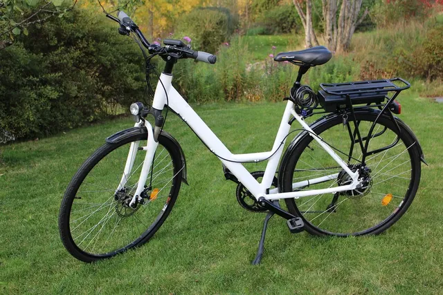 Elektro-Fahrrad AGOGS LowStep